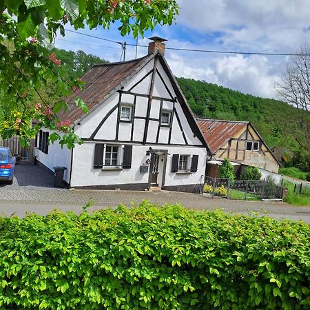 Landhaus Eifel Demerath Екстер'єр фото