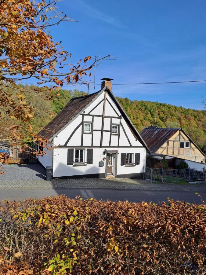Landhaus Eifel Demerath Екстер'єр фото