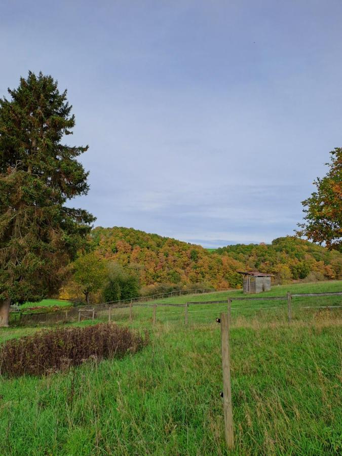 Landhaus Eifel Demerath Екстер'єр фото