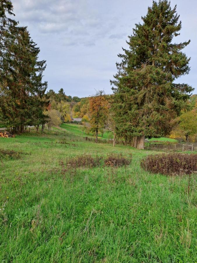 Landhaus Eifel Demerath Екстер'єр фото